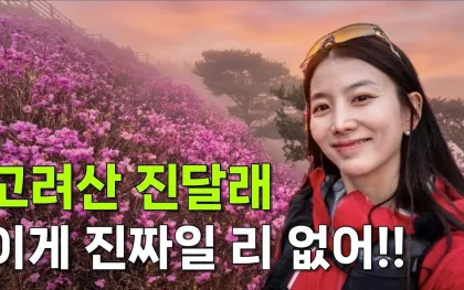 강화 고려산 진달래부터 금문도 간짜장까지, 하루 코스