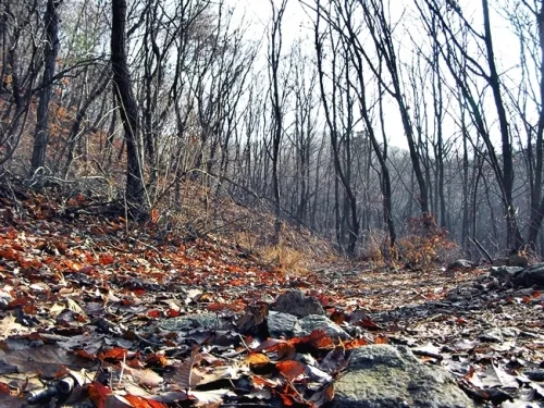 광교산(光敎山) 국사들이 오르던 길을 걷다
