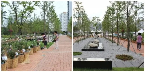 수원 청소년문화공원으로 무궁화 보러오세요 _2