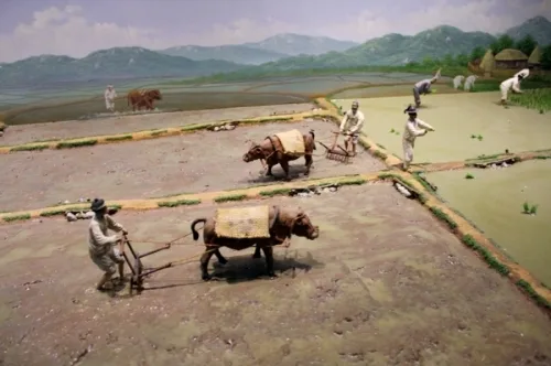 '수원갈비'에는 이런 역사가 있네_3