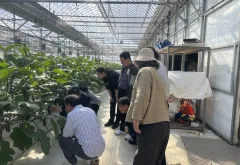 경기도, 신규 영농인 대상 딸기·포도 농작업 전문 교육 운영
