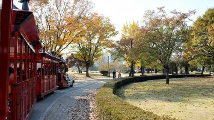 수원사람도 놀란 환상적인 관광코스 수원 1박 2일