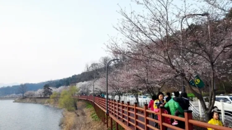 물빛의 아름다움, 호젓한 수변산책로의 유혹