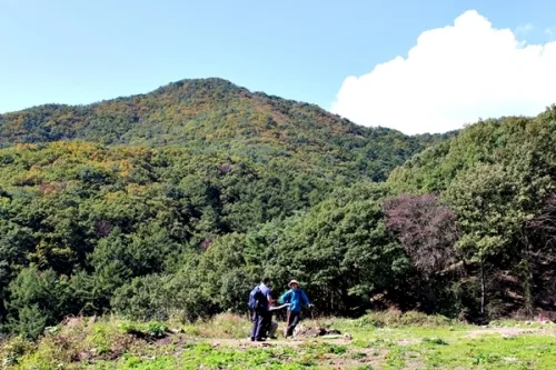 이번 주 광교산 단풍 보러 갈까_1