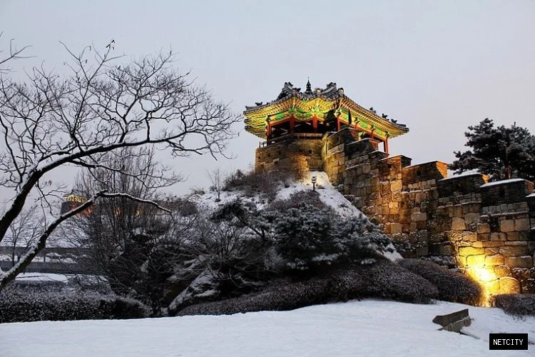 '백성은 나를 정조라 불렀다' ① - 범(範)