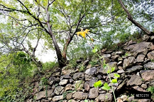 옛적 수원은 온갖 보물이 쌓여있던 산하였다