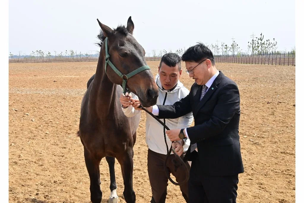 경기도 말 복지 휴양목장 개소식