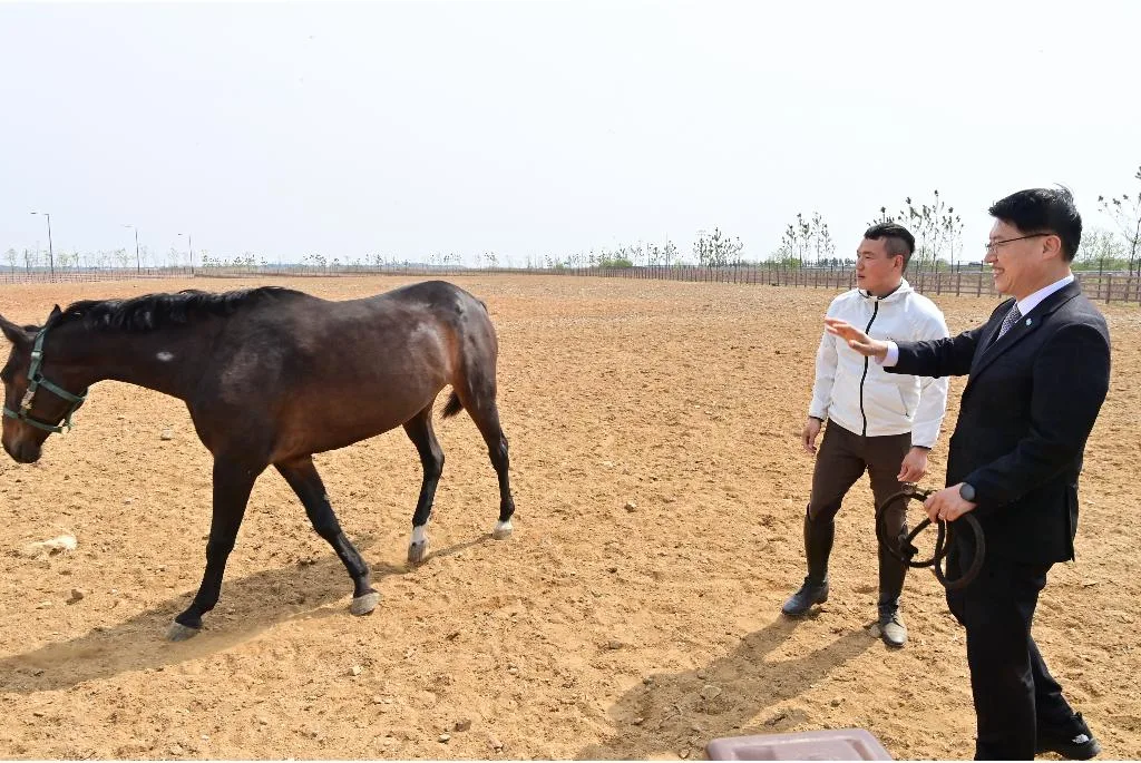 경기도 말 복지 휴양목장 개소식