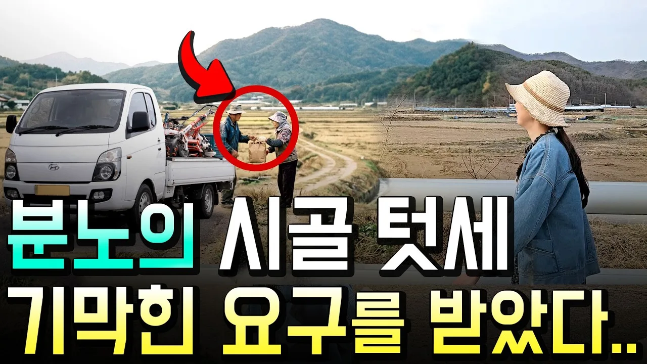 리틀타네, 귀촌 30대가 겪은 텃세와 수백만 원 손실의 현실 썸네일